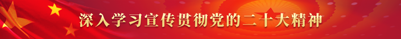 深入学习宣传贯彻党的二十大精神